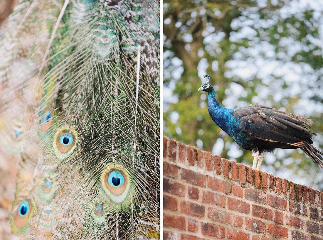 surrey-wedding-photographer_0005