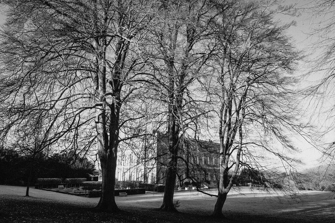 clandon park in winter